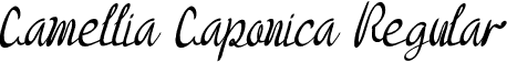 Camellia Caponica Regular font - CamelliaCaponica.otf