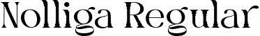 Nolliga Regular font - Nolliga-Regular.ttf