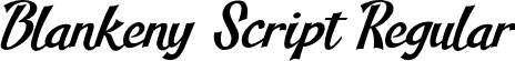 Blankeny Script Regular font - blankeny script demo.otf