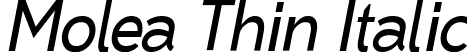 Molea Thin Italic font - Molea Thin Italic.otf