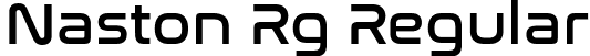 Naston Rg Regular font - naston-regular.ttf