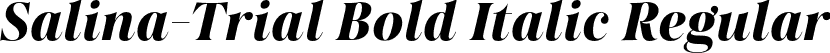 Salina-Trial Bold Italic Regular font - Salina-Trial-BoldItalic.otf