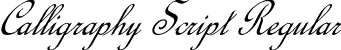 Calligraphy Script Regular font - CalligraphyScript.otf
