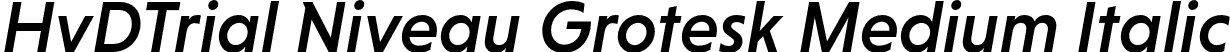 HvDTrial Niveau Grotesk Medium Italic font - HvDTrial_NiveauGroteskMedium-Italic.otf
