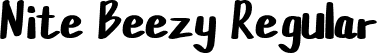 Nite Beezy Regular font - Nite Beezy demo.otf