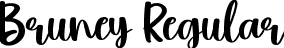 Bruney Regular font - Bruney.ttf