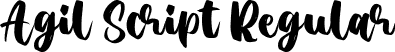 Agil Script Regular font - Agil Script.ttf