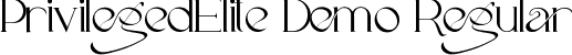 PrivilegedElite Demo Regular font - PrivilegedEliteDemoRegular.ttf