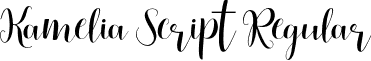 Kamelia Script Regular font - OTF kk.otf