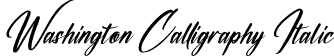 Washington Calligraphy Italic font - Washington Calligraphy Italic.otf