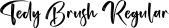 Tedy Brush Regular font - Tedy Brush.ttf