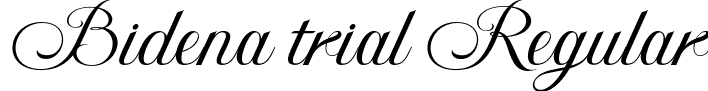 Bidena trial Regular font - BidenatrialRegular-YzRwv.otf