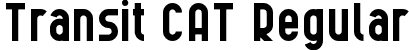 Transit CAT Regular font - Transit CAT.ttf