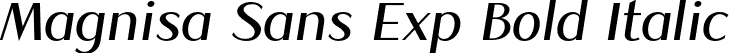 Magnisa Sans Exp Bold Italic font - MagnisaSans-BoldExpItalic.otf