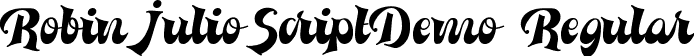 RobinJulioScriptDemo Regular font - RobinJulioScriptDemoRegular.ttf