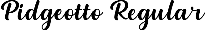 Pidgeotto Regular font - Pidgeotto.ttf