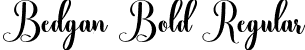 Bedgan Bold Regular font - Bedgan Bold.otf