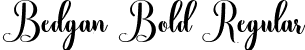 Bedgan Bold Regular font - Bedgan Bold.ttf