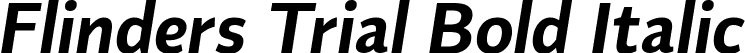 Flinders Trial Bold Italic font - FlindersTrialBoldItalic-nRWrR.ttf
