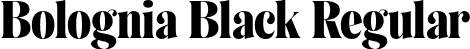 Bolognia Black Regular font - BologniaDemo-Black.otf