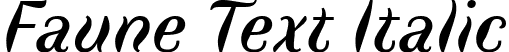 Faune Text Italic font - Faune-Text_Italic.ttf