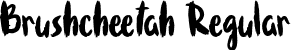 Brushcheetah Regular font - Brushcheetah.otf