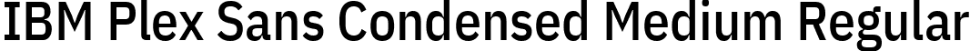 IBM Plex Sans Condensed Medium Regular font - IBMPlexSansCondensed-Medium.ttf