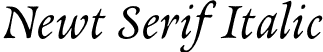 Newt Serif Italic font - NewtSerif-Italic.otf