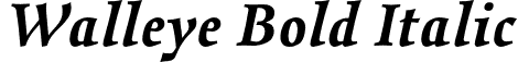 Walleye Bold Italic font - Walleye-BoldItalic.otf