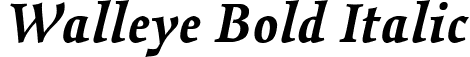 Walleye Bold Italic font - Walleye-BoldItalic.ttf