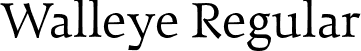 Walleye Regular font - Walleye.otf