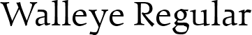 Walleye Regular font - Walleye.ttf
