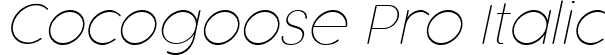 Cocogoose Pro Italic font - Cocogoose Pro Thin Italic Trial.ttf