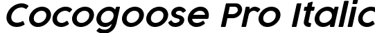 Cocogoose Pro Italic font - Cocogoose Pro SemiLight Italic Trial.ttf