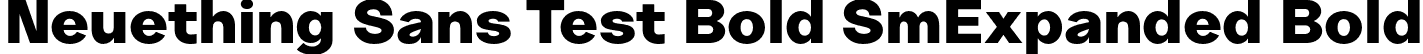 Neuething Sans Test Bold SmExpanded Bold font - NeuethingVariableTest-BlackSemiExpanded.otf