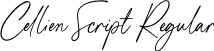 Cellien Script Regular font - cellien-script.otf