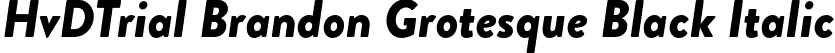 HvDTrial Brandon Grotesque Black Italic font - HvDTrial_Brandon_Grotesque_black_italic.otf