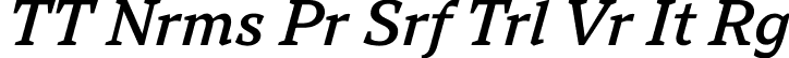 TT Nrms Pr Srf Trl Vr It Rg font - TT-Norms-Pro-Serif-Trial-Var-Italic.ttf