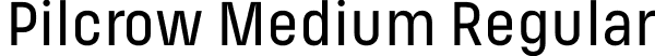 Pilcrow Medium Regular font - Pilcrow-Medium.otf