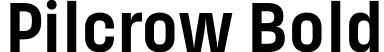 Pilcrow Bold font - Pilcrow-Bold.otf