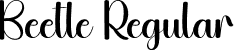 Beetle Regular font - Beetle.otf