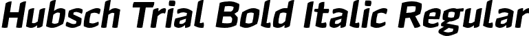 Hubsch Trial Bold Italic Regular font - HubschTrial-BoldItalic.otf