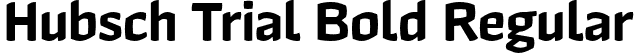 Hubsch Trial Bold Regular font - HubschTrial-Bold.otf