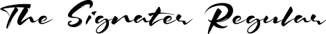 The Signater Regular font - thesignater-1ggj2.otf