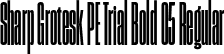 Sharp Grotesk PE Trial Bold 05 Regular font - SharpGroteskPETrialBold-05.otf