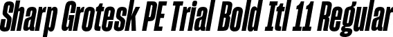 Sharp Grotesk PE Trial Bold Itl 11 Regular font - SharpGroteskPETrialBoldItl-11.otf