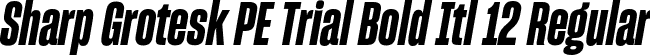 Sharp Grotesk PE Trial Bold Itl 12 Regular font - SharpGroteskPETrialBoldItl-12.otf
