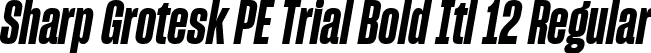 Sharp Grotesk PE Trial Bold Itl 12 Regular font - SharpGroteskPETrialBoldItl-12.ttf