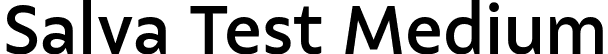 Salva Test Medium font - SalvaTest-Medium.ttf