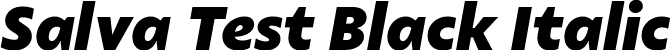 Salva Test Black Italic font - SalvaTest-BlackItalic.ttf